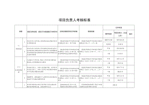 项目负责人考核标准.docx
