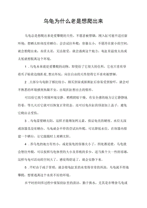 乌龟为什么老是想爬出来.docx