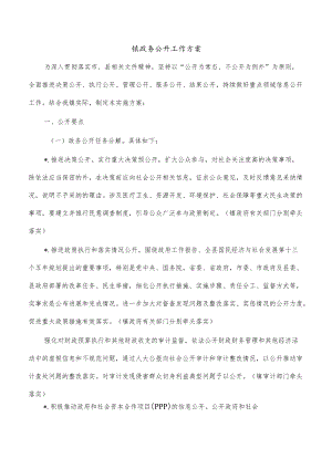 镇政务公开工作方案.docx