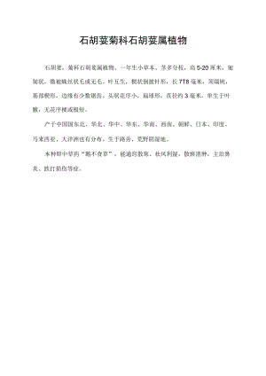 石胡荽 菊科石胡荽属植物.docx