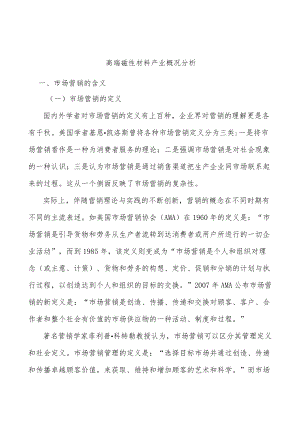 高端磁性材料产业概况分析.docx