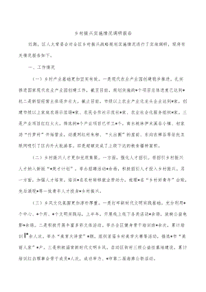 乡村振兴实施情况调研报告.docx