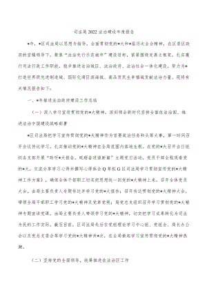司法局2022法治建设年度报告.docx