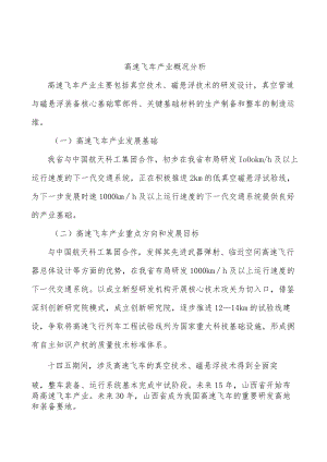 高速飞车产业概况分析.docx