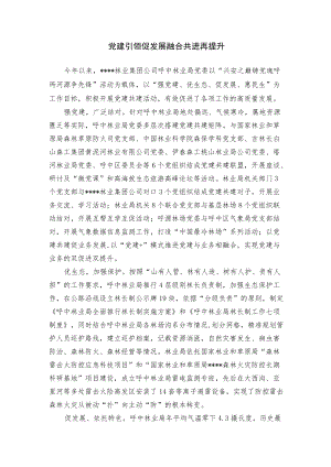 【经验总结】党建引领促发展 融合共进再提升.docx