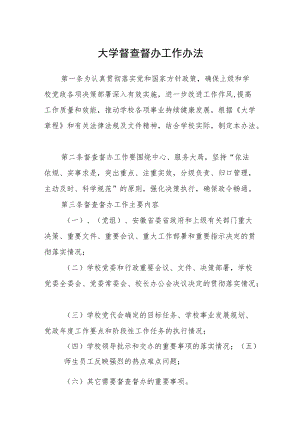 大学督查督办工作办法.docx
