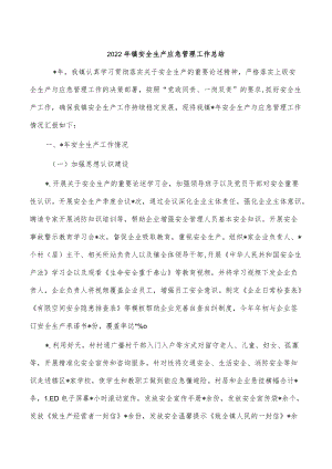 2022年镇安全生产应急管理工作总结.docx