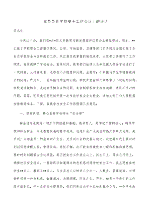 在某某县学校安全工作会议上的讲话.docx