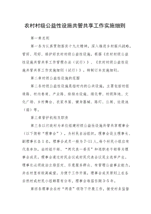 农村村级公益性设施共管共享工作实施细则.docx