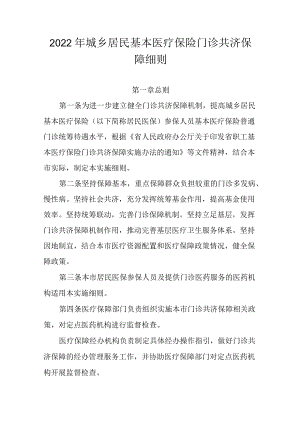 2022年城乡居民基本医疗保险门诊共济保障细则.docx