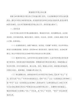 精准服务市场主体方案.docx