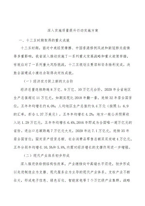 深入实施质量提升行动实施方案.docx