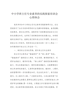 中小学班主任专业素养的实践探索培训会心得体会.docx