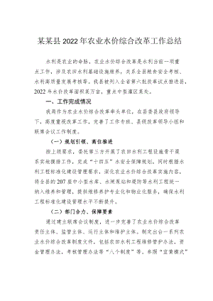 某某县2022年农业水价综合改革工作总结.docx