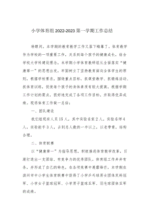 小学体育组2022-2023第一学期工作总结.docx