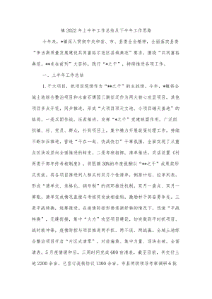 镇2022年上半年工作总结及下半年工作思路.docx
