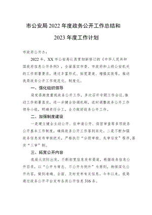 市公安局2022年度政务公开工作总结和2023年度工作计划.docx