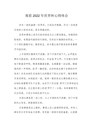 观看2022年世界杯心得体会.docx