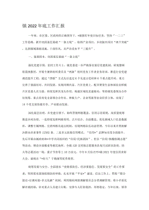 镇2022年底工作汇报.docx