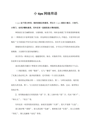 小tips网络用语.docx