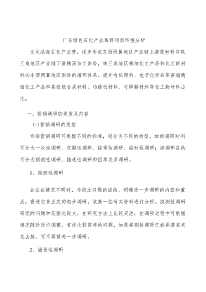 广东绿色石化产业集群项目环境分析.docx
