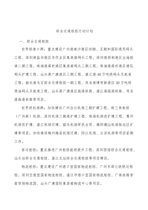 综合交通枢纽行动计划.docx