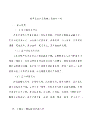现代农业产业集群工程行动计划.docx