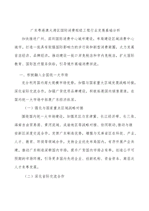 广东粤港澳大湾区国际消费枢纽工程行业发展基础分析.docx
