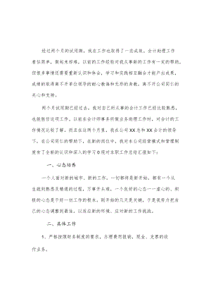 会计助理试用期工作总结3篇供借鉴.docx