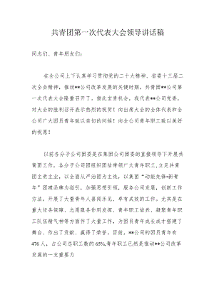 共青团第一次代表大会领导讲话稿.docx