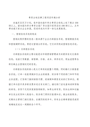 粤贸全球品牌工程项目环境分析.docx
