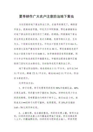 夏季耕作广大农户注意防治地下害虫.docx