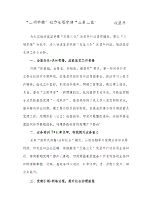“三项举措”助力基层党建“五基三化” 攻坚年.docx