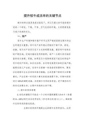 提升犊牛成活率的关键节点.docx