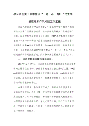 教育系统关于集中整治“一老一小一青壮”民生领域腐败和作风问题工作汇报.docx