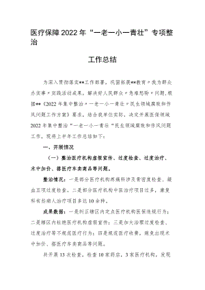 医疗保障2022年“一老一小一青壮”专项整治工作总结.docx