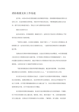 消防救援支队工作综述1.docx