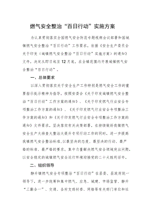 燃气安全整治“百日行动”实施方案.docx