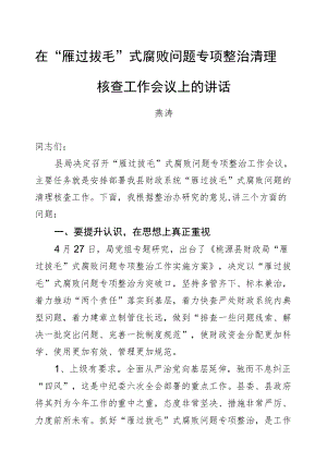 燕涛：在“雁过拔毛”式腐败问题专项整治清理核查工作会议上的讲话.docx