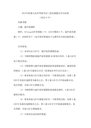 青少年机器人技术等级考试三级实操题及评分标准.docx