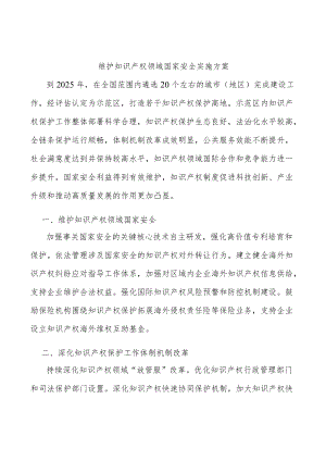 维护知识产权领域国家安全实施方案.docx
