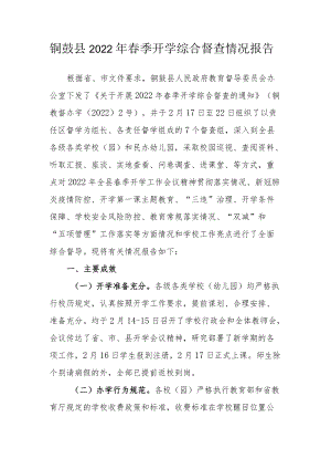 铜鼓县2022年春季开学综合督查情况报告.docx