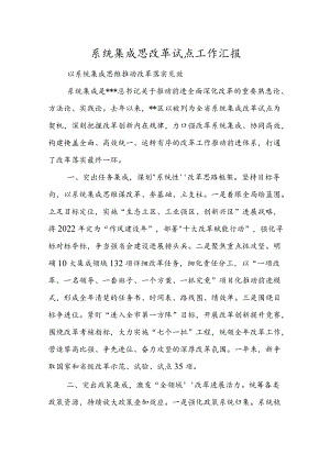 系统集成思改革试点工作汇报.docx