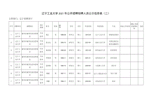 辽宁工业大学2021年公开招聘拟聘人员公示信息表（二）.docx
