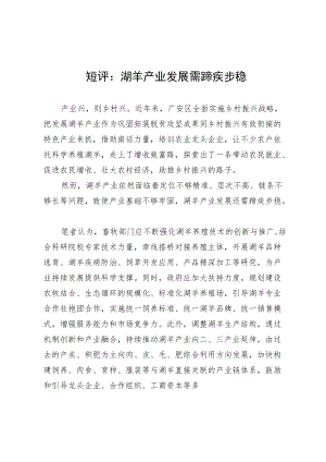 短评：湖羊产业发展需蹄疾步稳.docx