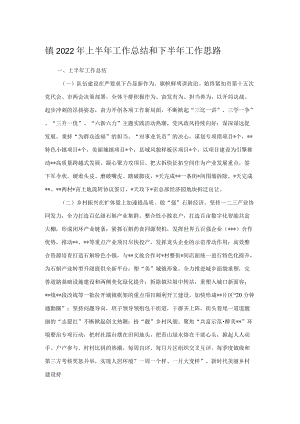 镇2022年上半年工作总结和下半年工作思路.docx