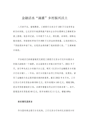 金融活水 “滴灌”乡村振兴沃土.docx