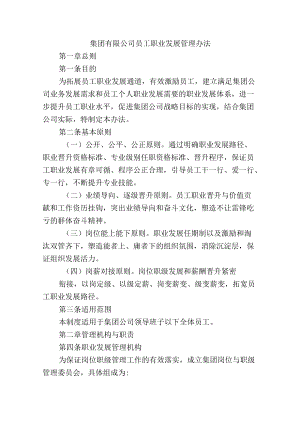 集团有限公司员工职业发展管理办法.docx