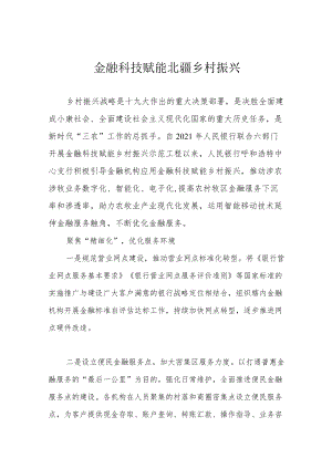 金融科技赋能北疆乡村振兴.docx