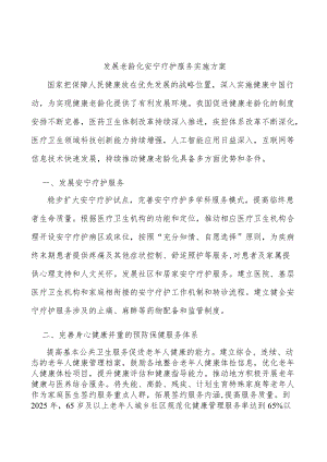 发展老龄化安宁疗护服务实施方案.docx
